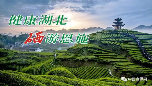 宣恩曾德权最新消息揭秘，传奇人物的崭新篇章