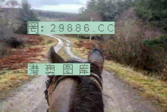 最准一肖一码一一香港澳王一王,科学解释分析_强劲版49.216