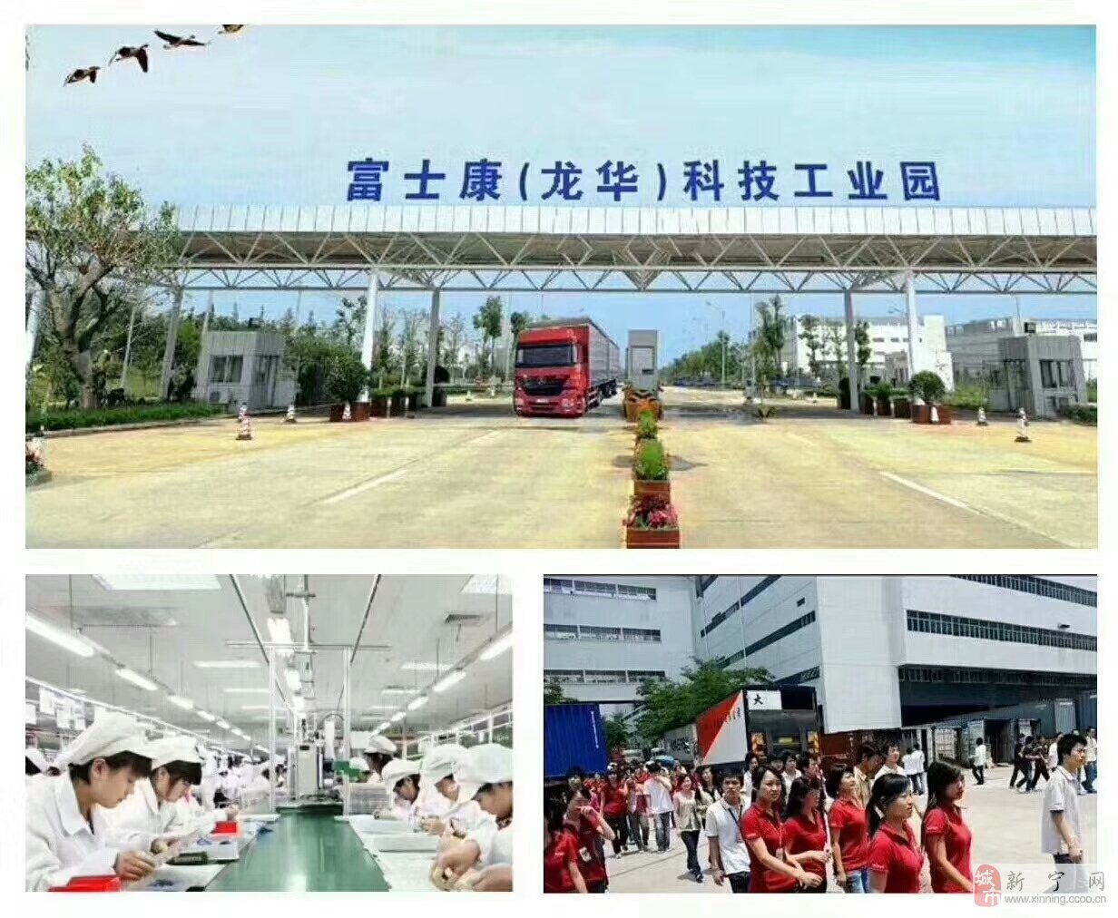 阆中普工招聘资讯，求职步骤指南