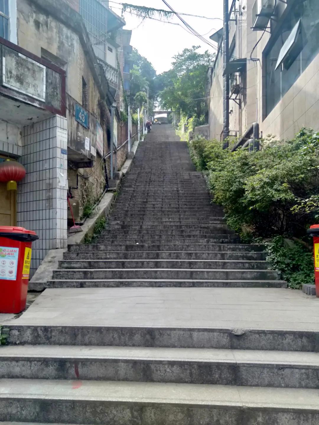 乒乓球比赛梦境与技能学习，全方位指南