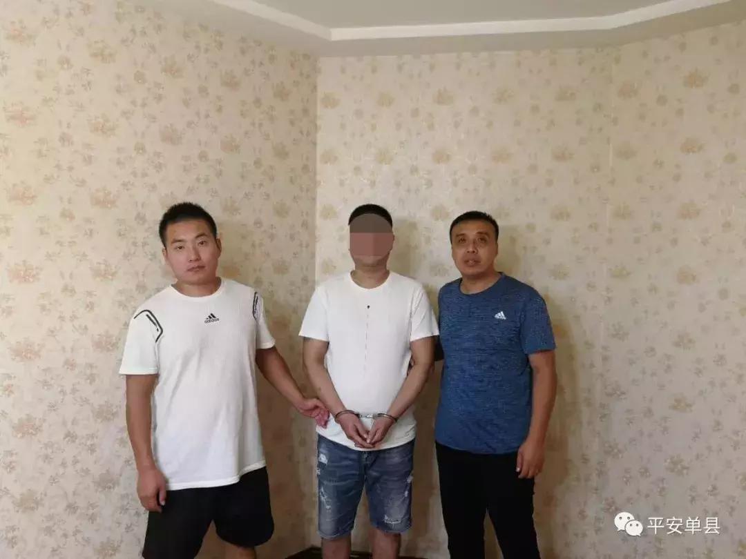 单县最新租房资讯,单县最新租房资讯，科技重塑居住体验