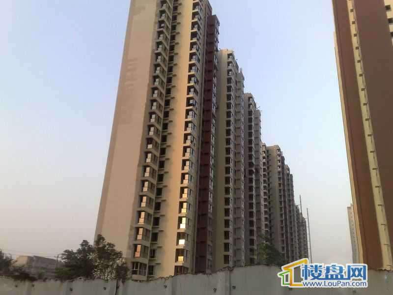 石家庄锦城最新资讯全攻略，资讯获取指南