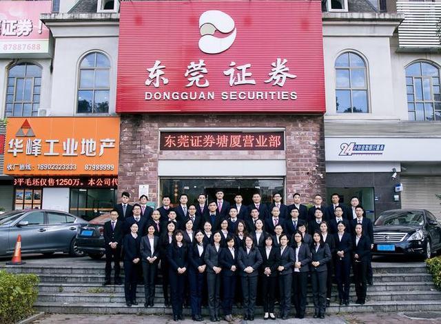 东莞证券最新动态，引领行业风向，洞悉市场趋势