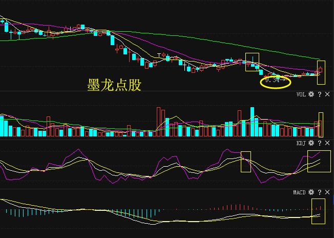 锐奇股份股票投资价值深度解析