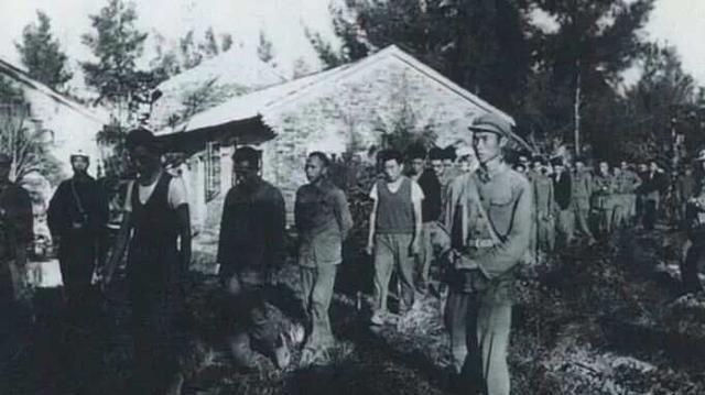 第47军改革最新动态更新简报