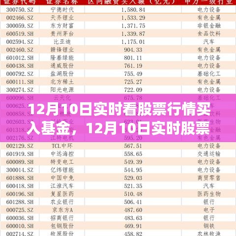 股市入门指南，解析10只股票行情与股市分析技巧（初学者与进阶用户必看）