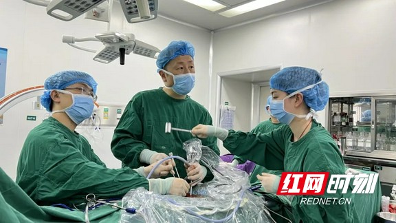 岳阳最新疫情动态与探索自然美景之旅，内心的平和与喜悦的追求