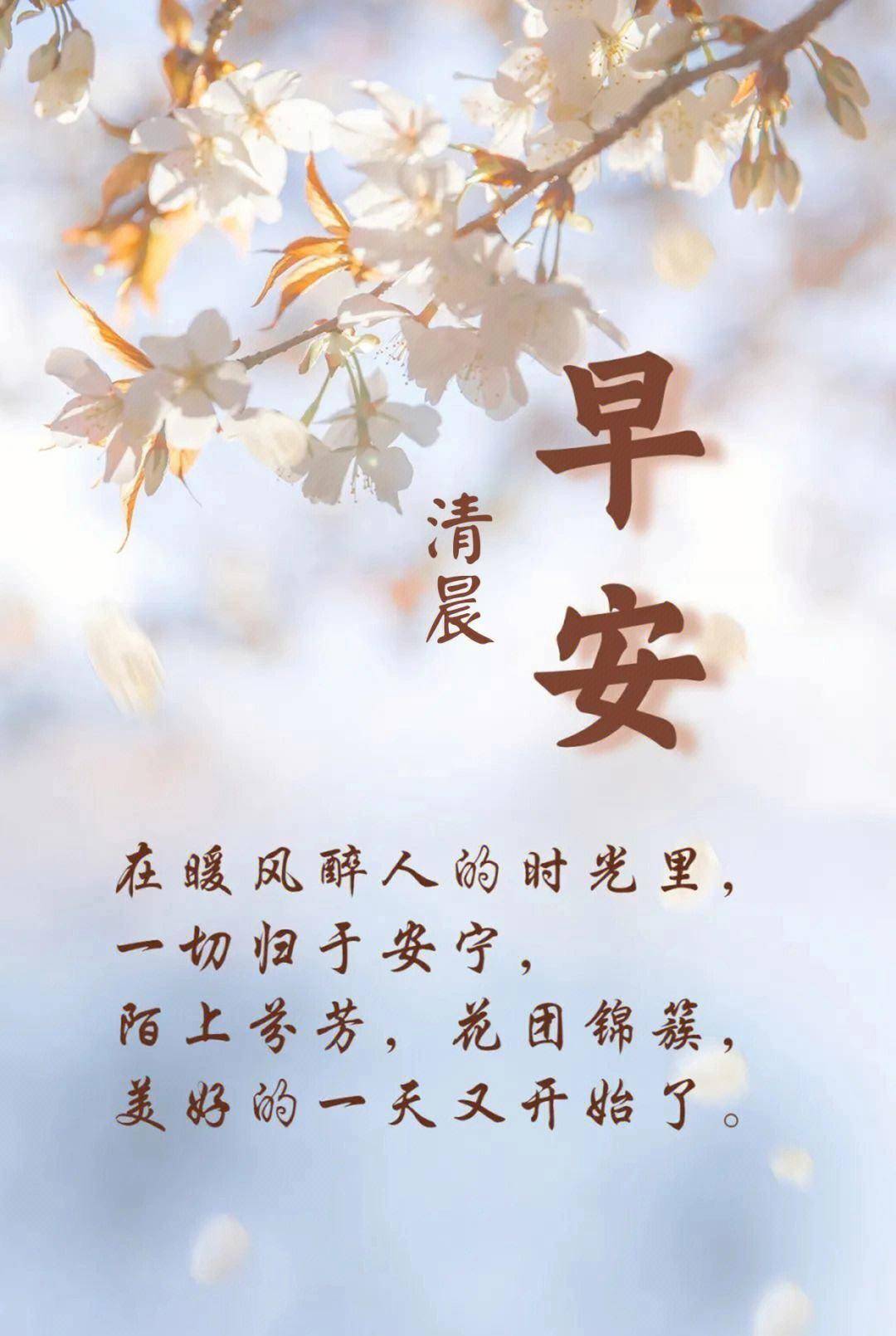 最新清晨词语，晨曦之美的多重解读与探索