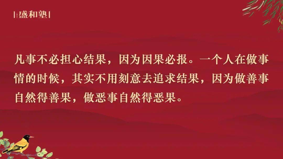 最新因果报应揭秘，时代背景与深远影响